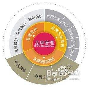 打造個性化爬蟲店Logo的核心策略 以品牌管理驅動形象升級